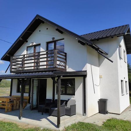 Vila Raisa Neagra Sarului Экстерьер фото