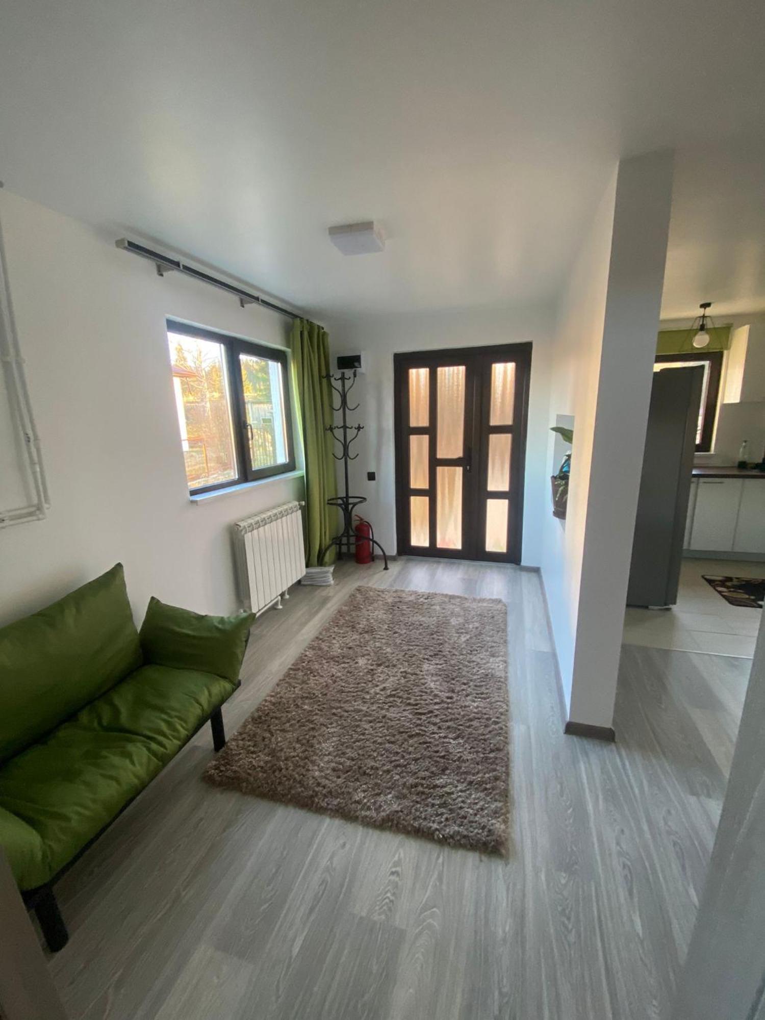 Vila Raisa Neagra Sarului Экстерьер фото