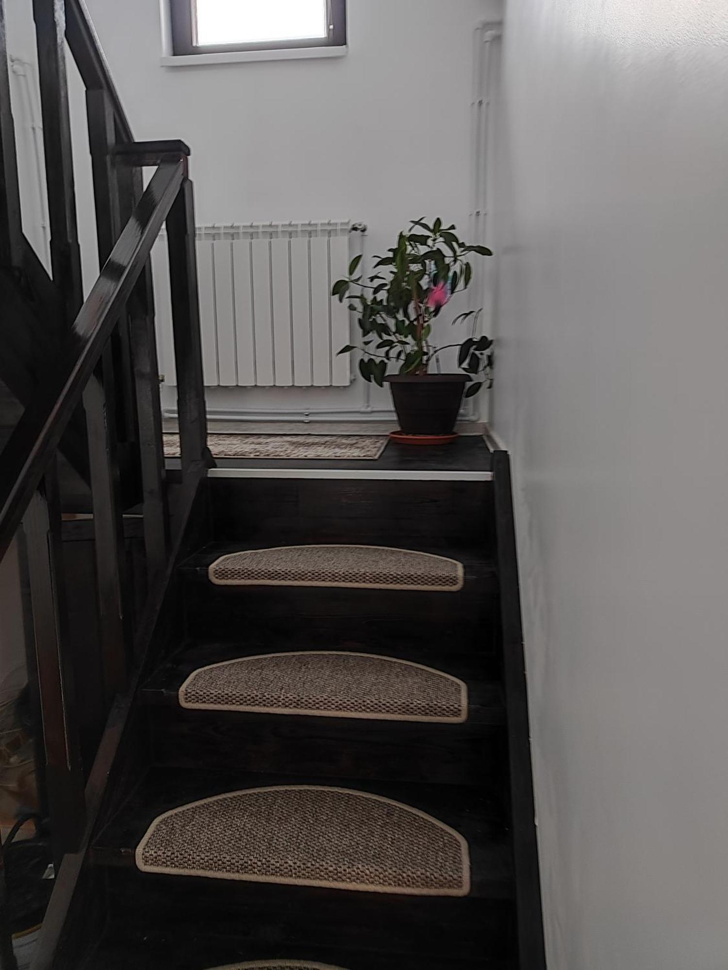 Vila Raisa Neagra Sarului Экстерьер фото