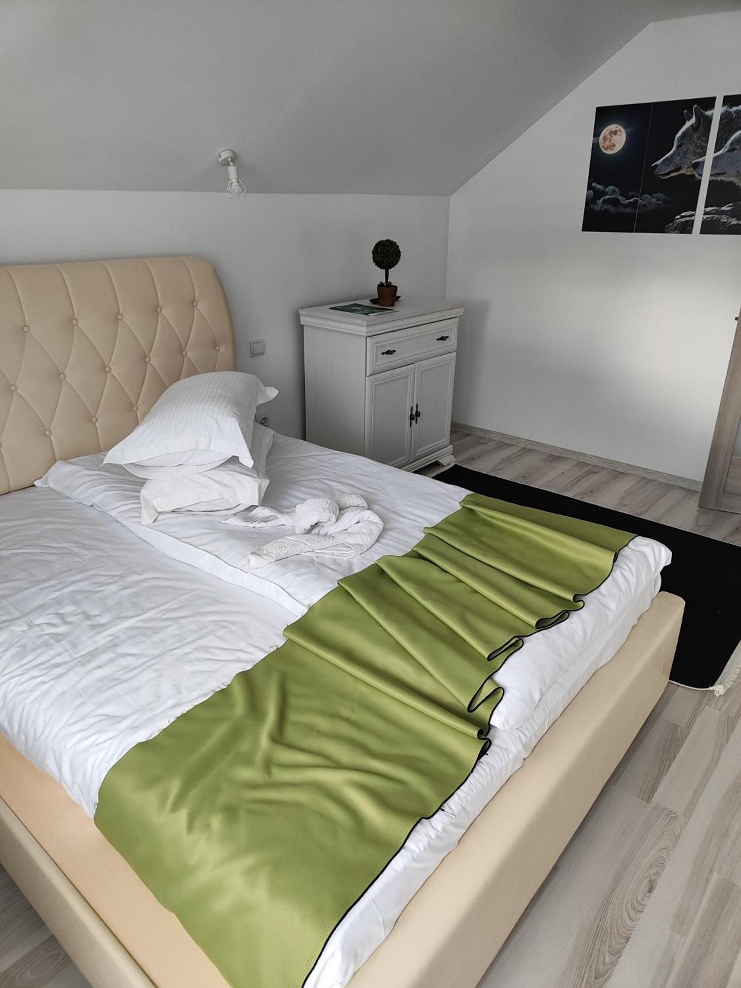 Vila Raisa Neagra Sarului Экстерьер фото